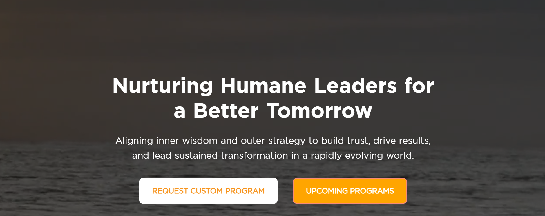 Leadership Program